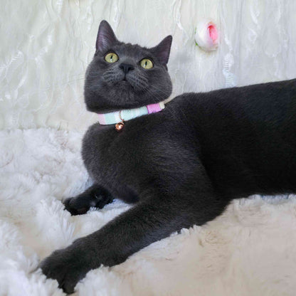 cute cat wearing pastel plaid collar with pink tones aesthetic photo