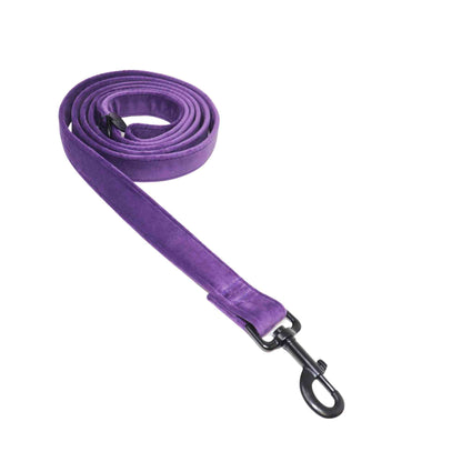 "AMETHYST" LEASH