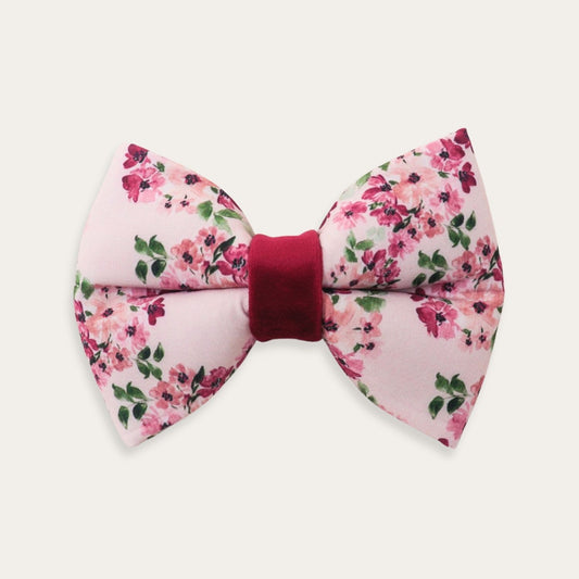 "Petale Rosé" Puffy Bowtie