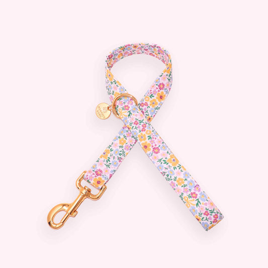 pastel floral dog leash with buttercup flowers and gold hardware