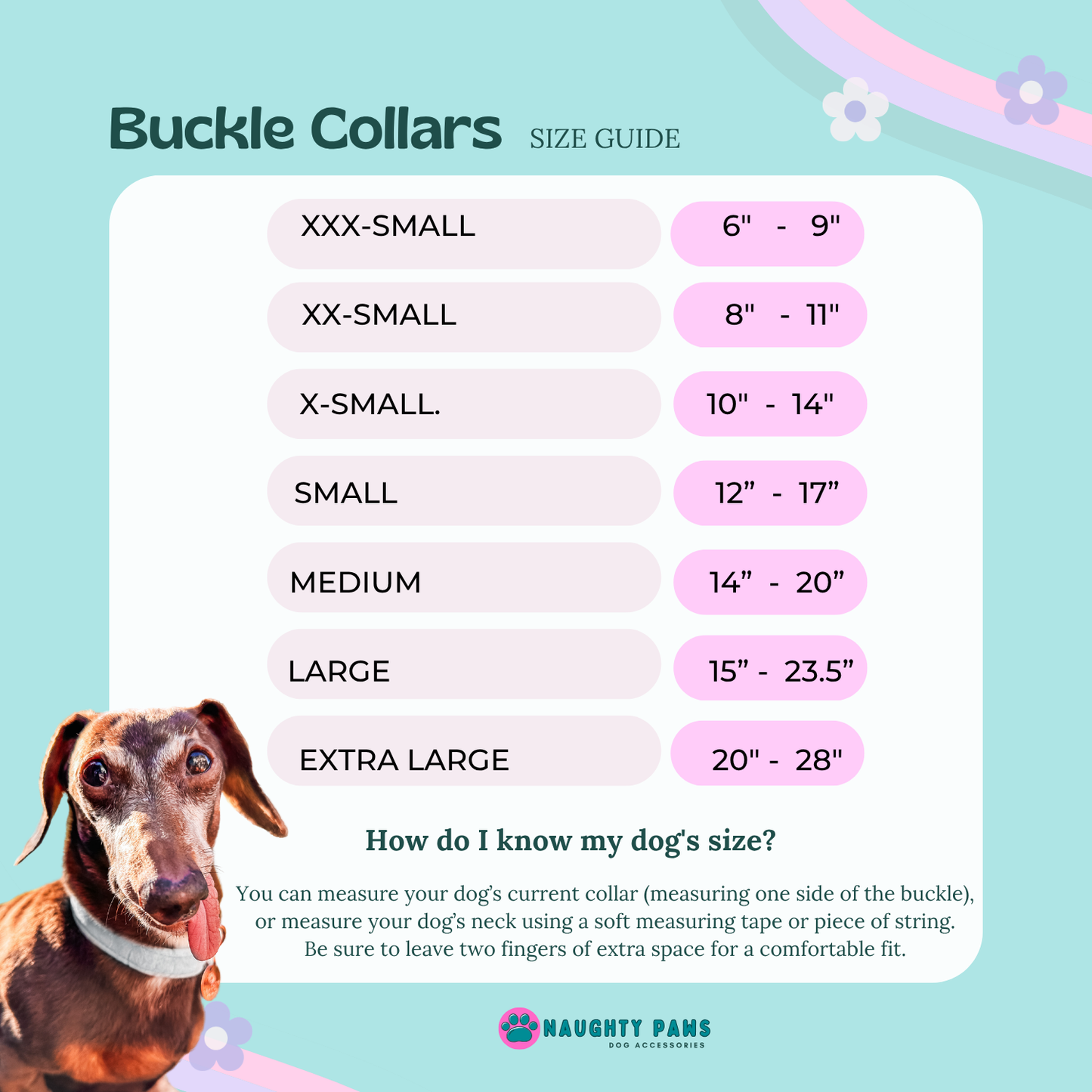 "Bubble Bath" Collar