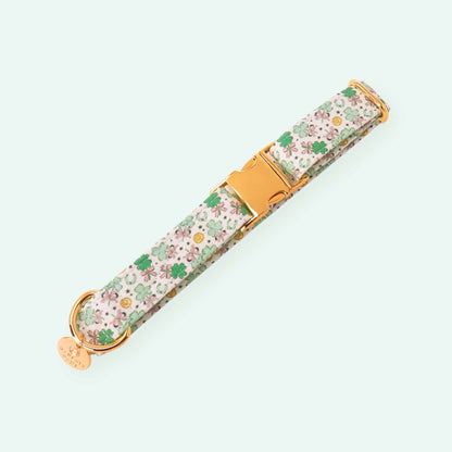 Clover Charm dog collar with lucky clover charm print, green St Patrick’s Day dog collar
