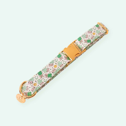 Clover Charm dog collar with lucky clover charm print, green St Patrick’s Day dog collar

