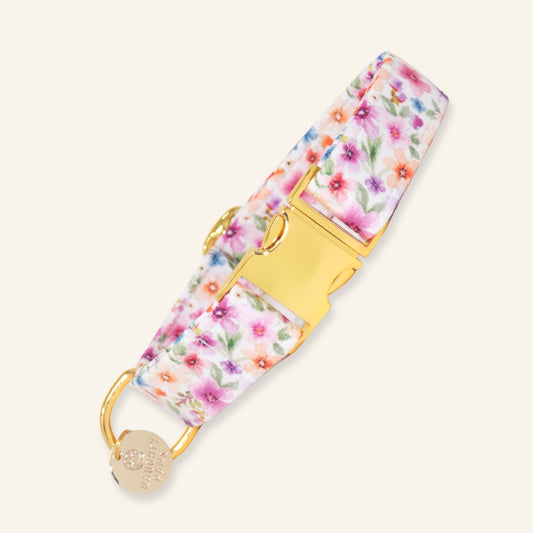 "Bella" Collar