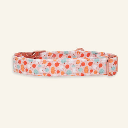 "Pumpkin Spice" Collar
