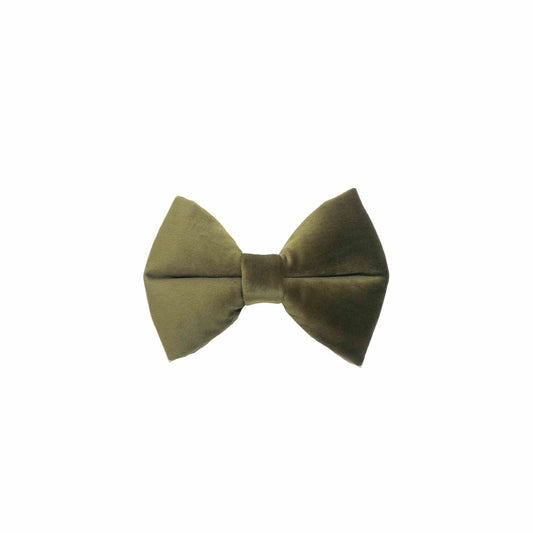 "OLIVER" BOW TIE