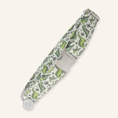 Green dinosaur dog collar with colorful Mesozoic dinosaur print and silver hardware