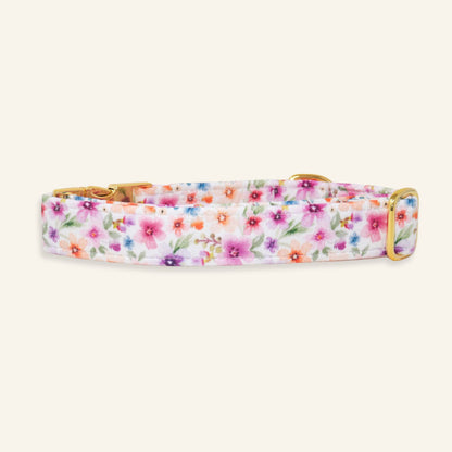 "Bella" Collar