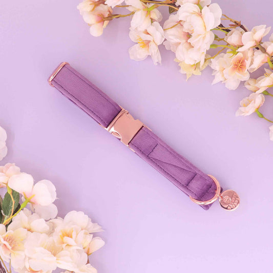 Lavender velvet dog collar with rose gold hardware from the Florence luxury dog accessory collection