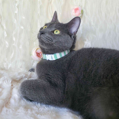 green striped cat collar lightweight design with safety breakaway buckle