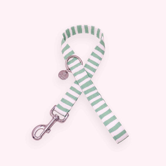 mint striped dog leash with pastel green stripes and gold hardware