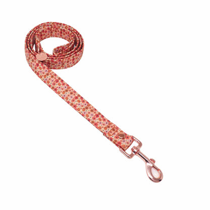 "Autumn Whimsy" Leash