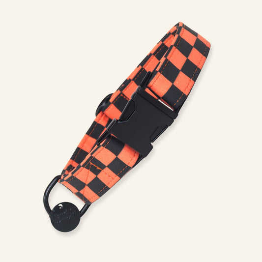 "Pumpkin Check" Collar