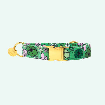 Irish Spring dog collar featuring green floral print with soft pink flowers, spring dog accessory