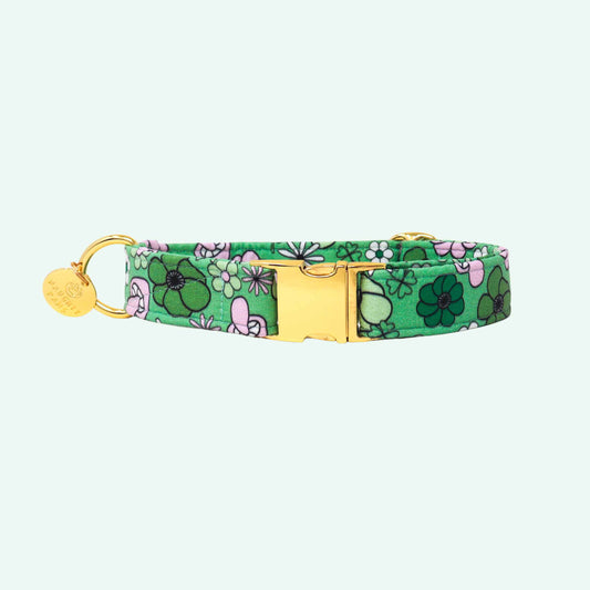 Irish Spring dog collar featuring green floral print with soft pink flowers, spring dog accessory