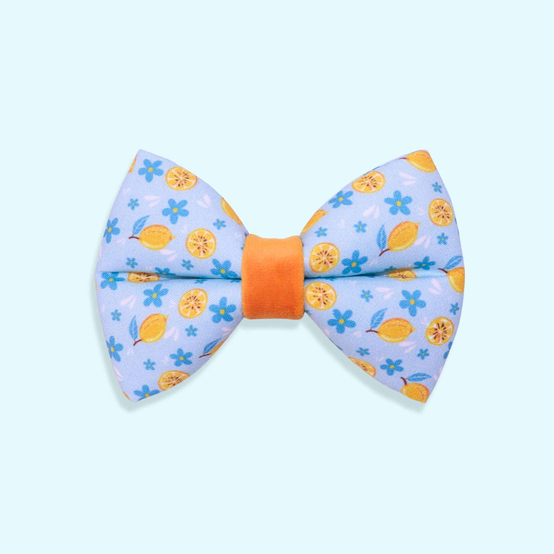 Lemon dog bow tie with citrus pattern, blue flowers, and Mediterranean-inspired summer design from the Amalfi Breeze collection