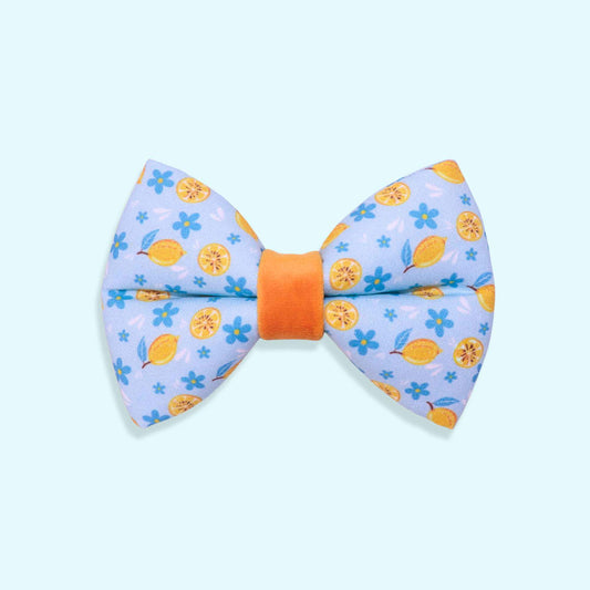 Lemon dog bow tie with citrus pattern, blue flowers, and Mediterranean-inspired summer design from the Amalfi Breeze collection
