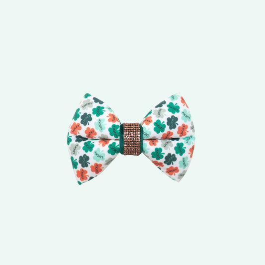 Lucky dog bowtie featuring green clover print with lucky text, St Patrick’s Day and spring dog accessory