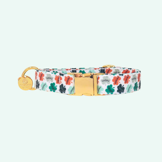 Lucky dog collar featuring green clover print with lucky text, St Patrick’s Day and spring dog accessory