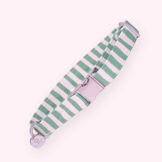 mint striped dog collar with pastel green stripes and gold hardware