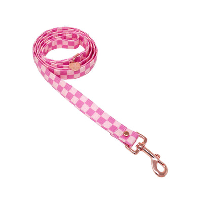 "Pretty in Pink" Leash