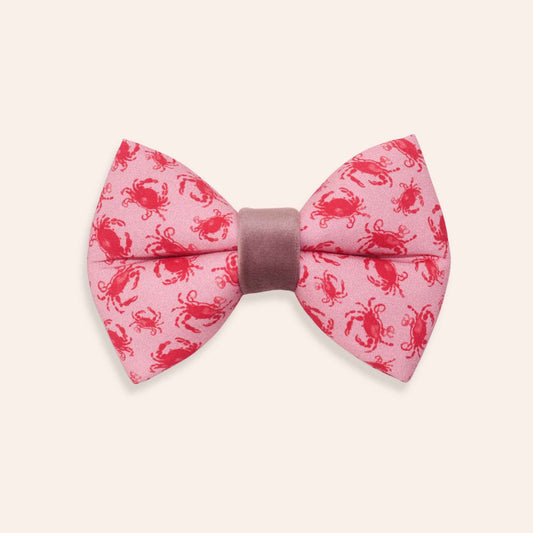 Pink crab dog bow tie with coastal beach pattern and nautical summer design from the Coral Crab collection