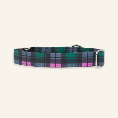 "Fall Breeze" Collar