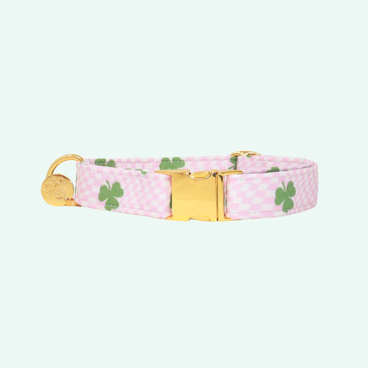 Pixie Clover dog collar featuring pink checkered fabric with green clover print, coquette spring dog accessory