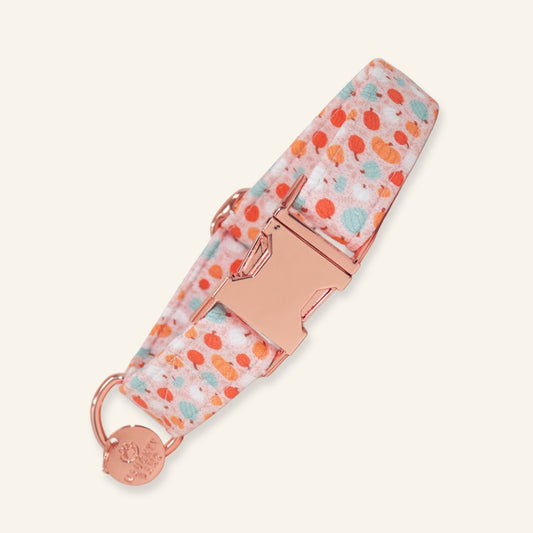 Handmade adjustable fall dog collar featuring a pastel pumpkin print in orange and sage green with premium rose gold hardware.