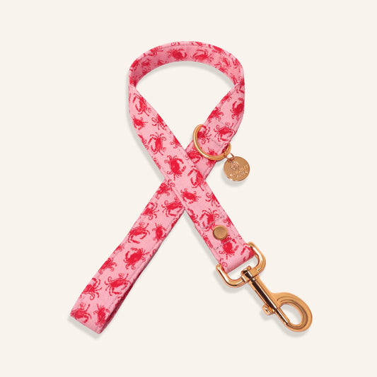 "Coral Crab" Leash