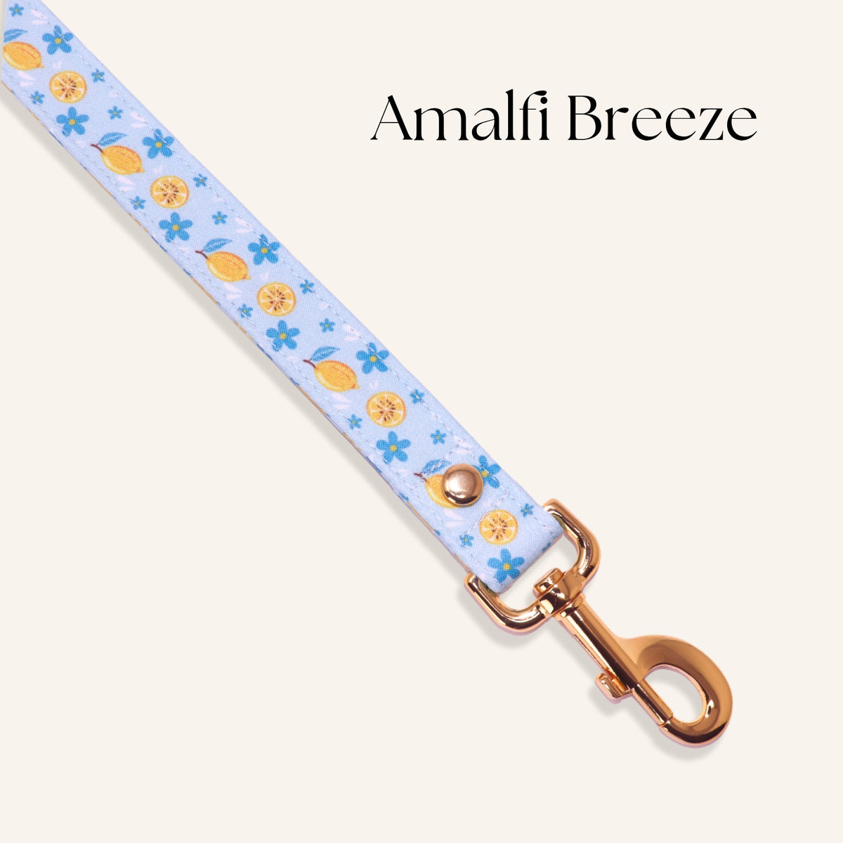 "Amalfi Breeze" Leash