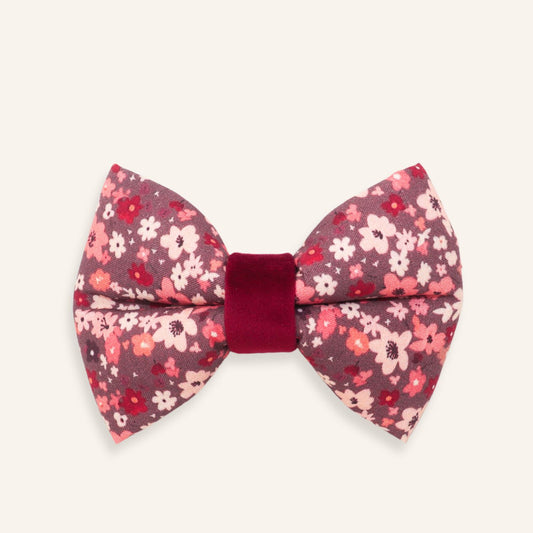A small bow tie with a pink and red floral pattern on a dark mauve background, featuring a solid deep red velvet center band, shown on a light cream background.