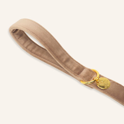 "LATTE" LEASH