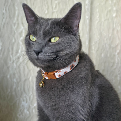 A gray cat wearing a patterned collar with a small gold bell, photographed against a textured cream curtain background.