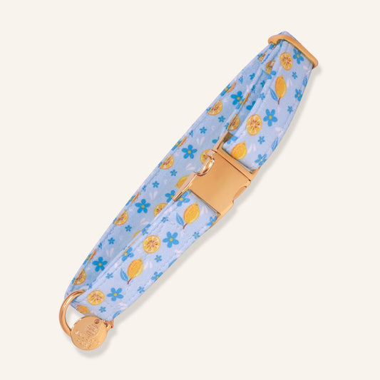 "Amalfi Breeze" Collar