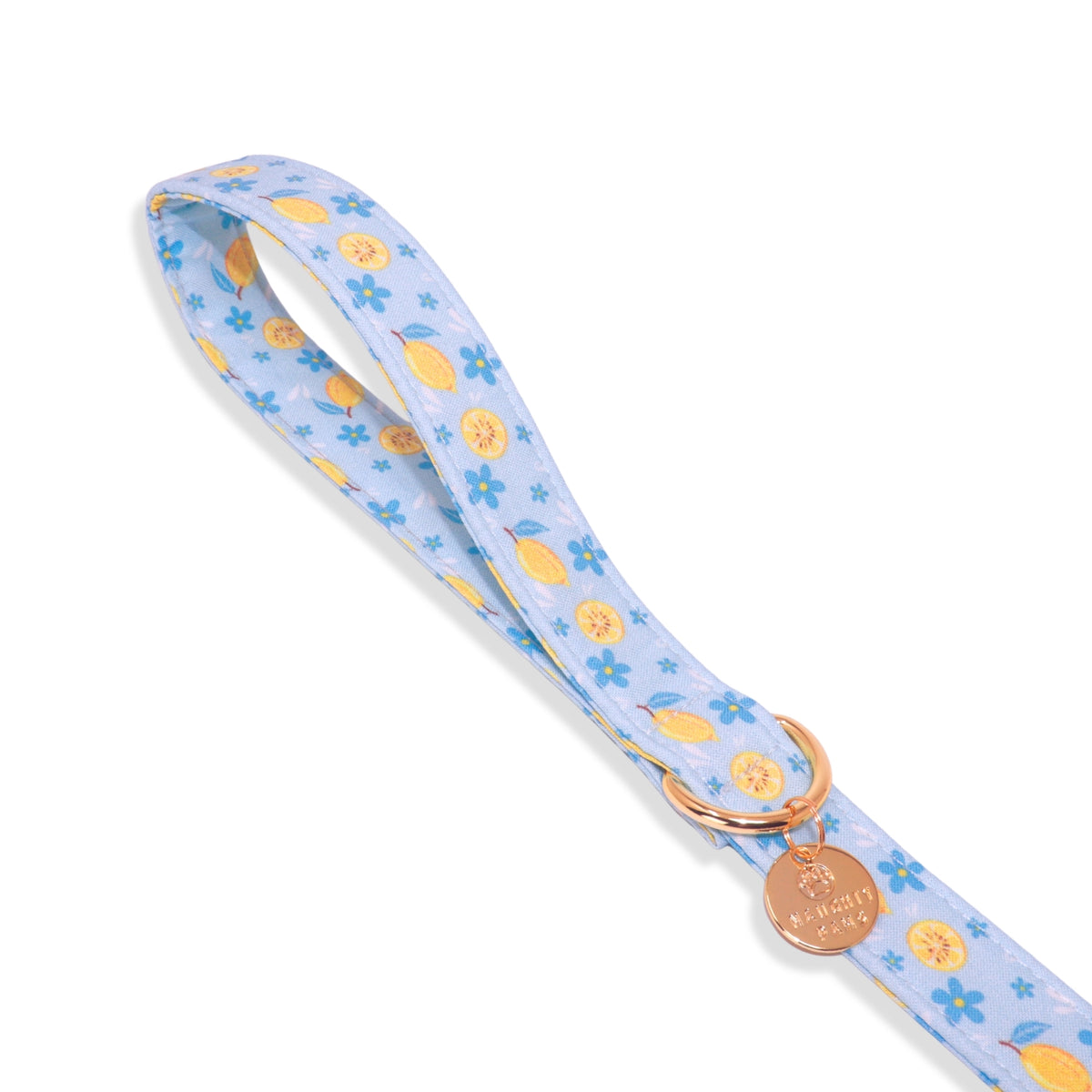 "Amalfi Breeze" Leash