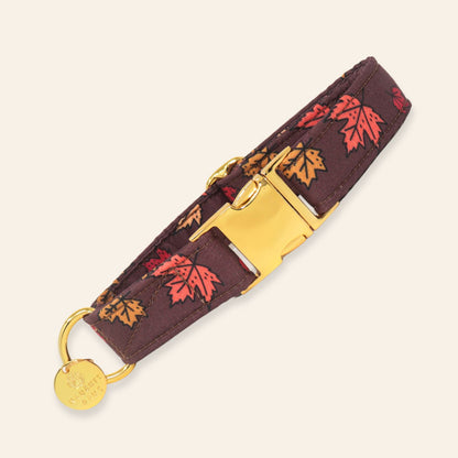 A dark brown fabric dog collar with a red and orange autumn leaf pattern, featuring a gold-tone metal buckle, D-ring, and a round branded tag.