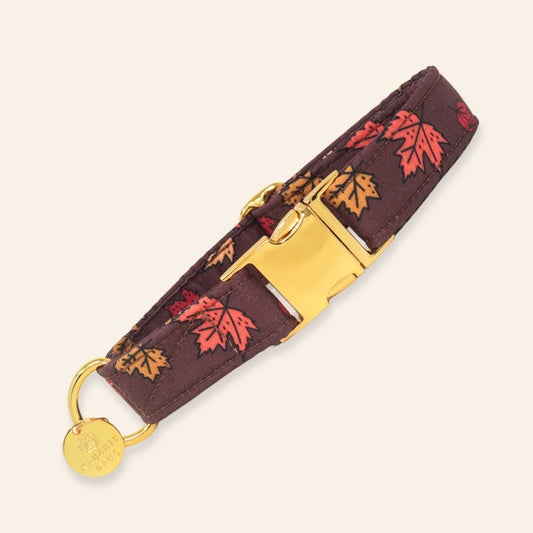 A dark brown fabric dog collar with a red and orange autumn leaf pattern, featuring a gold-tone metal buckle, D-ring, and a round branded tag.