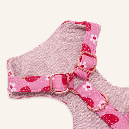 "Berry Happy" Chest Harness