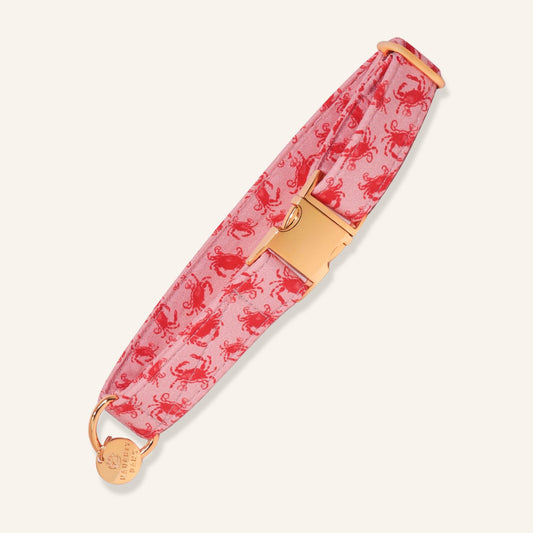 "Coral Crab" Collar
