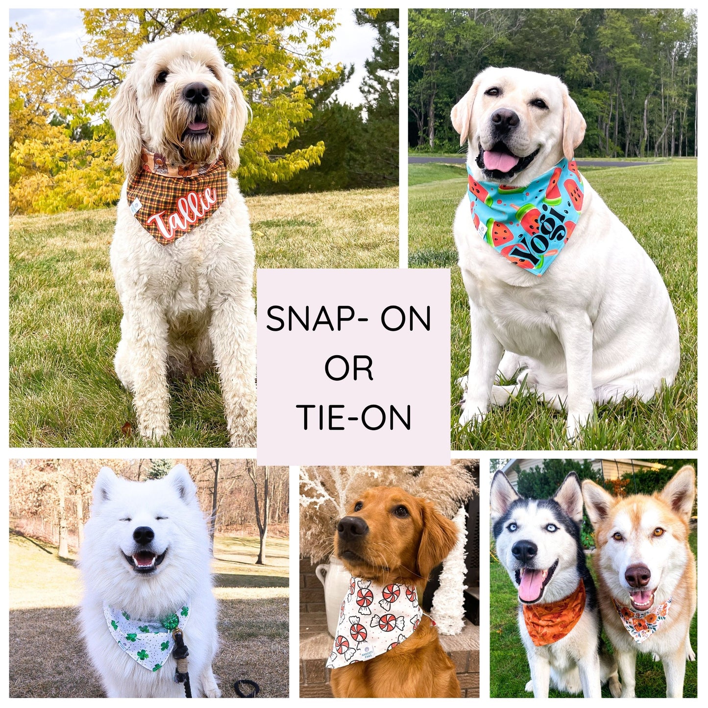 "Happy Fall" Reversible Bandana