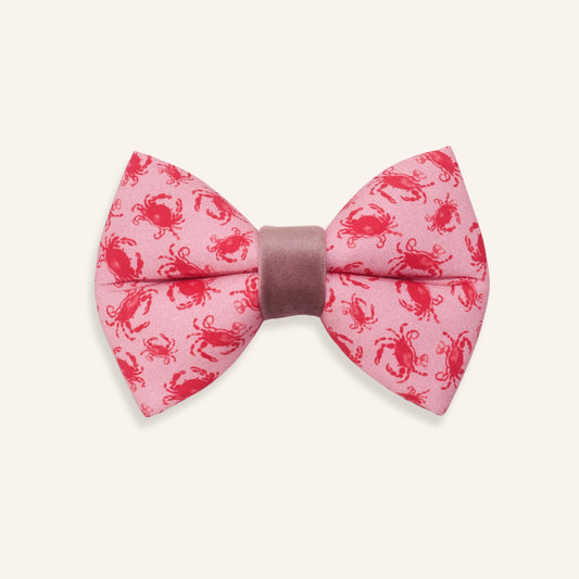 "Coral Crab" Puffy Bowtie