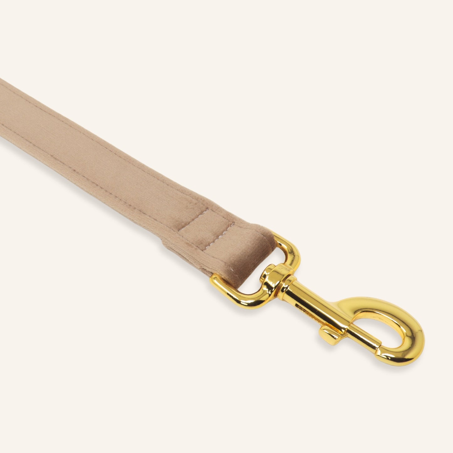 "LATTE" LEASH
