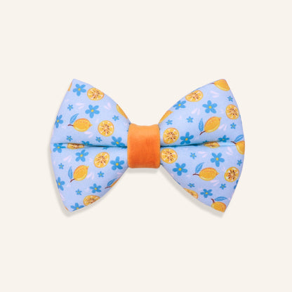 "Amalfi Breeze" Puffy Bowtie