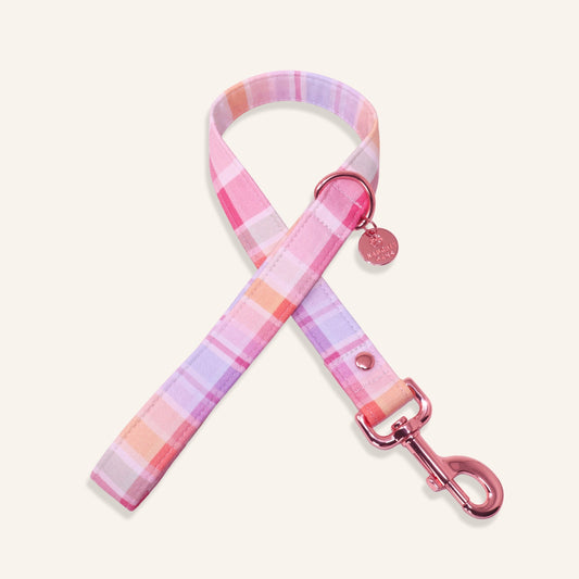 "Summer Sunset" Leash