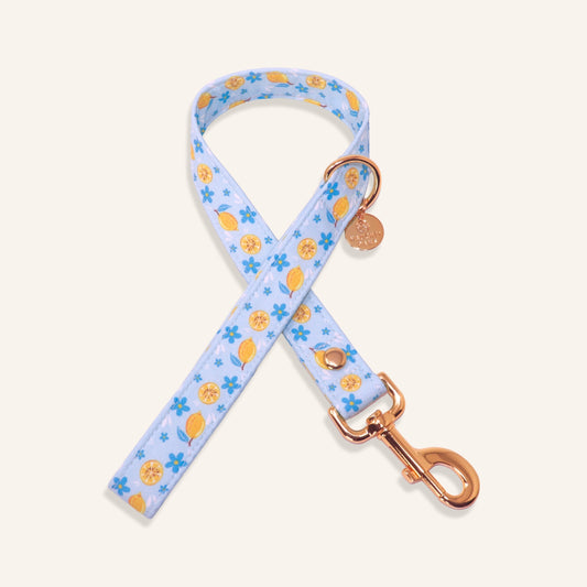 "Amalfi Breeze" Leash
