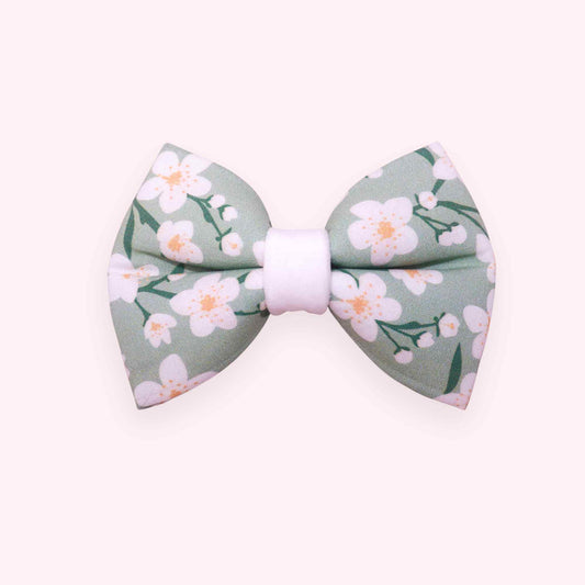 sage green floral dog bow tie with botanical pattern