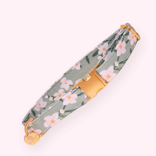 sage green floral dog collar with gold hardware cottagecore botanical design
