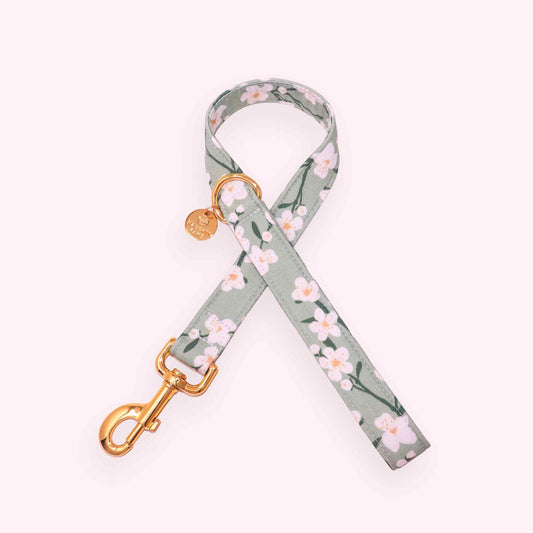 sage green floral dog leash with botanical pattern and gold hardware