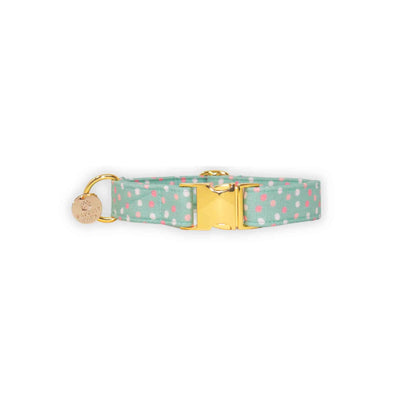 "Sagebrush Sunrise" Collar